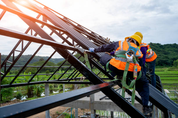 Best Roof Maintenance Services  in Lowell, MI