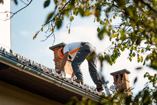 Best Roof Waterproofing Services  in Lowell, MI