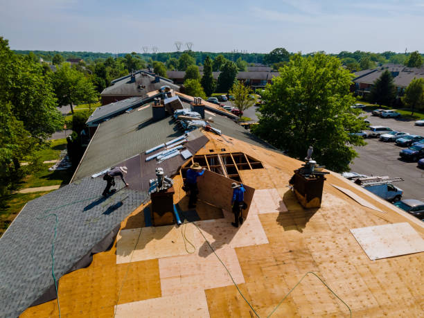 Best Best Roofing Contractors  in Lowell, MI