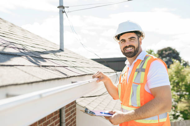 Best Sealant for Roof  in Lowell, MI
