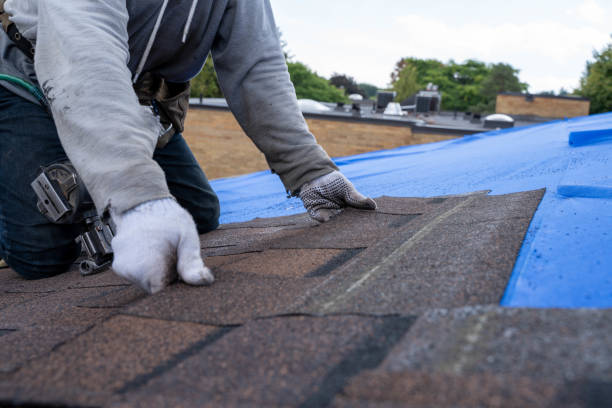 Best Emergency Roof Repair  in Lowell, MI