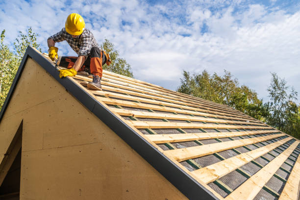 Best Affordable Roofing Company  in Lowell, MI