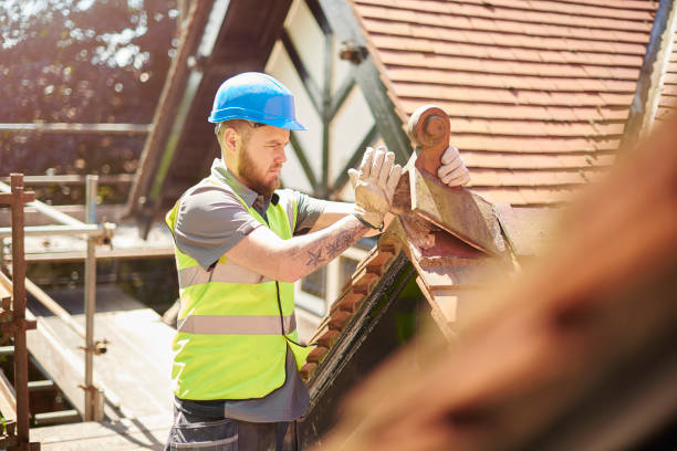 Best Affordable Roofing Company  in Lowell, MI